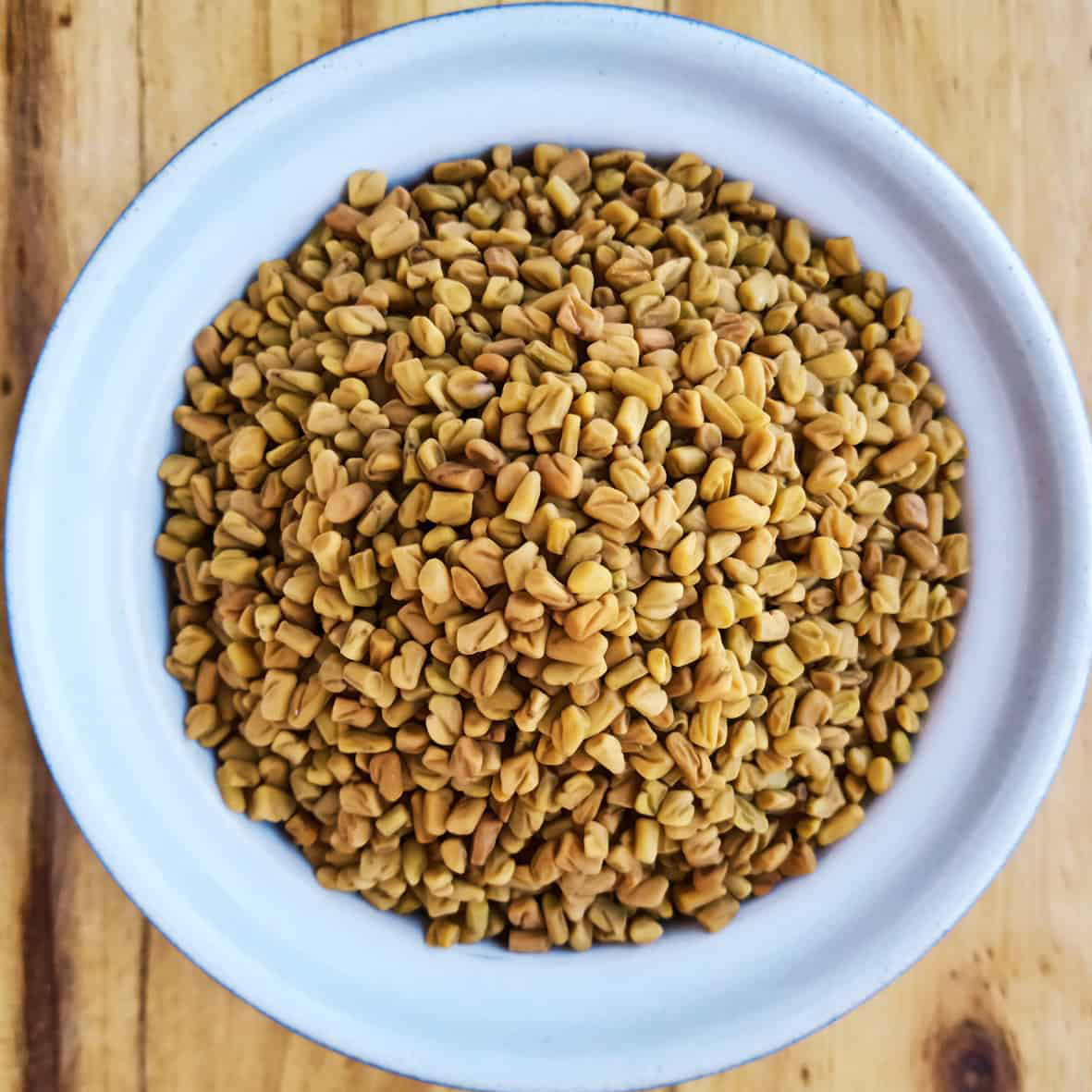 Fenugreek